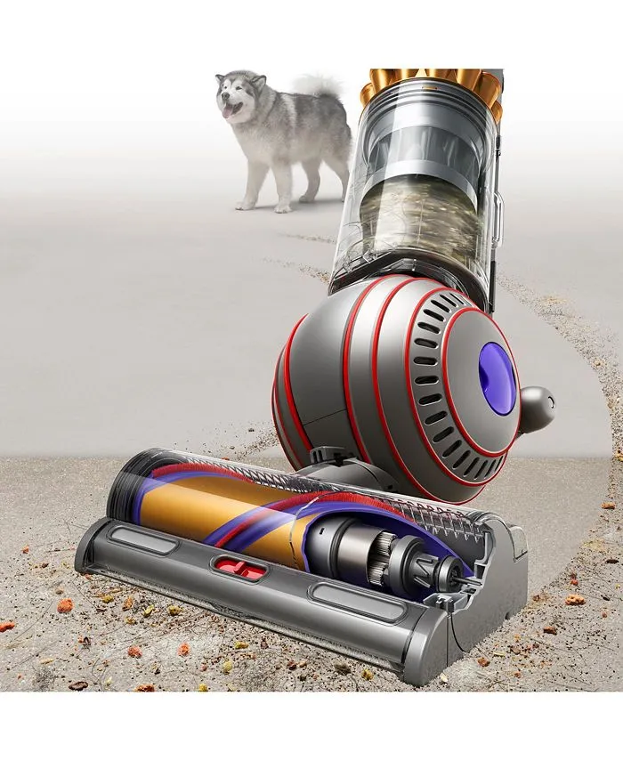 Dyson Ball Animal 3